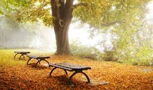 秋天抒情的句子