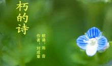 写雨抒情的诗句