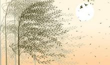 关于描写风的句子