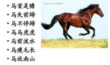 带有马的成语