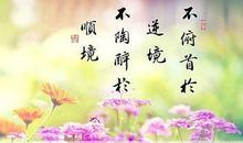 有关逆境的励志名言