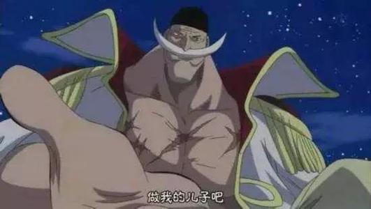 白胡子经典行情