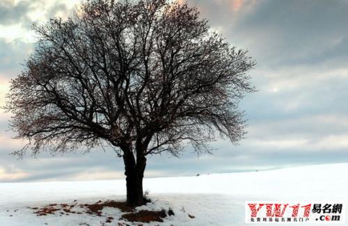 秋季古典感伤美句