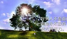 表达男人励志的句子