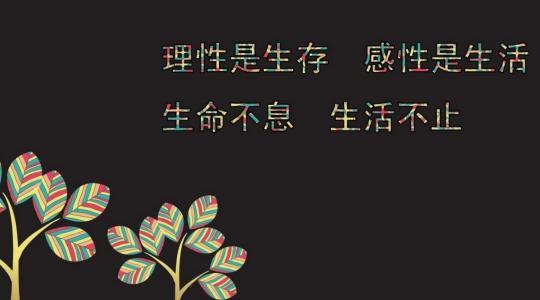 2018经典报价太经典了