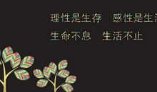 2018经典语录太经典