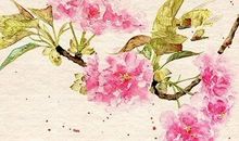 描写春夏秋冬的古诗