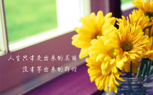 关于落叶的句子