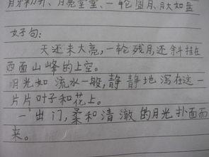 摘自优美的句子