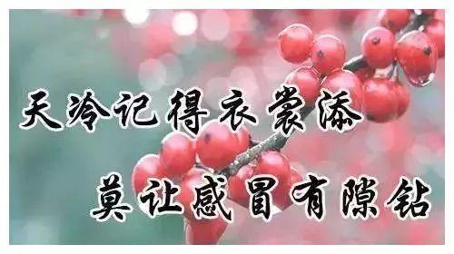 这是冷祝福的讯息