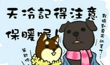 祝福搞笑的短信