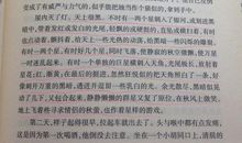 读骆驼祥子好词好句