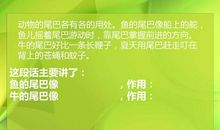 描写小动物的外形