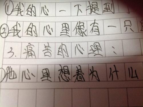 关于描述符的句子