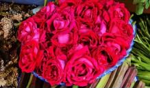 描写暴风雪的段落