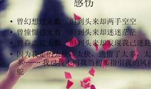 描写读书的唯美句子