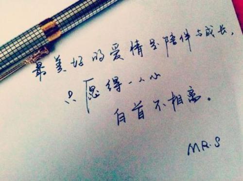 美丽的爱情句子