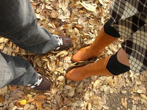 美丽的单词和美丽的爱情句子摘要