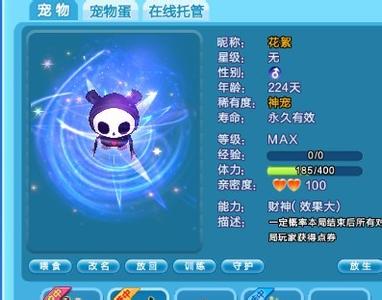 QQ炫舞宠物名字