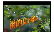 描写四季雨的句子