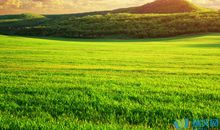 描写大草原的优美句子