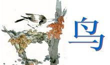 关于描写鸟的诗句