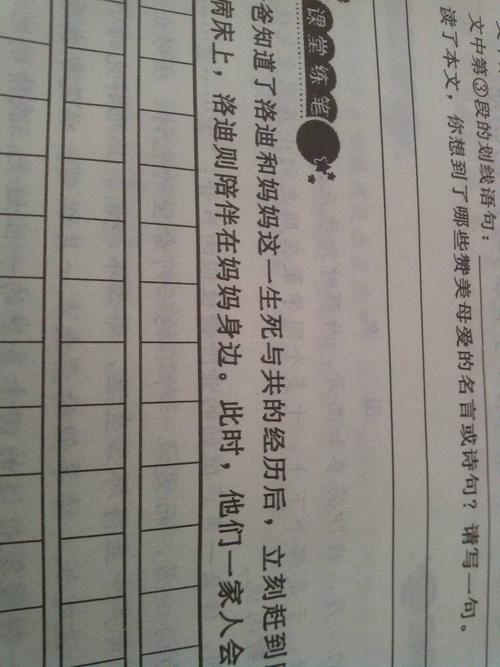 一整套描述父亲之爱的句子