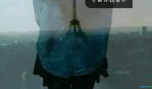 情感物语经典句子