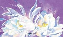 美人何处经典句子