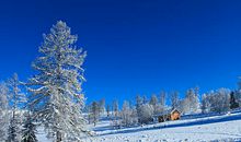 关于描写雪花的句子