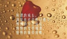 经典婚姻名言人生感悟