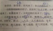 描写小草的好句子