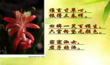 关于女性的名言