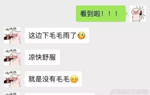 对我的爱的话