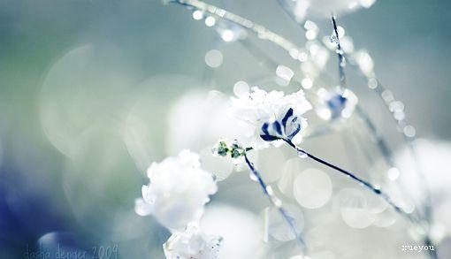 美容美发客户问候短信