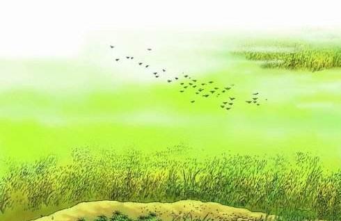 一首描述春天之美的诗