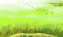 描写春天美景的诗