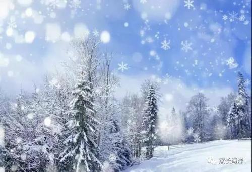 描述雪的好话