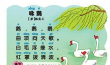 关于描写马的句子