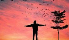 暗示爱你的句子