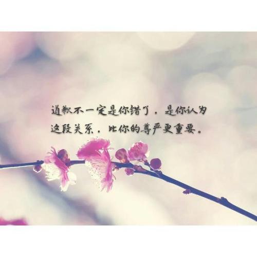 关于追求爱情的一句话