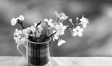 唯美的思念句子