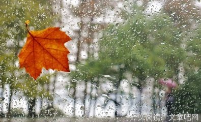 美丽感伤的句子摘要