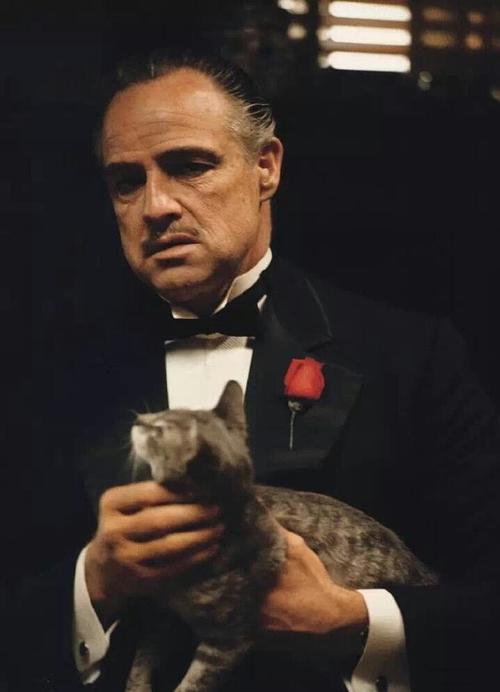 教父的经典名言