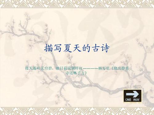 赞美夏天的诗歌