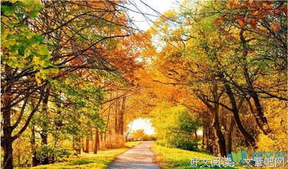 写出关于落叶的漂亮句子