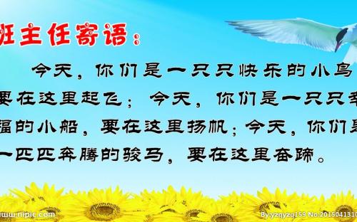 描述一个感谢老师的句子