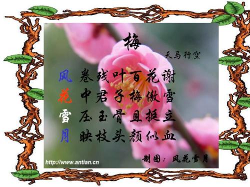 诗描述爱的纯洁