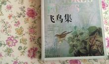 飞鸟集经典句子