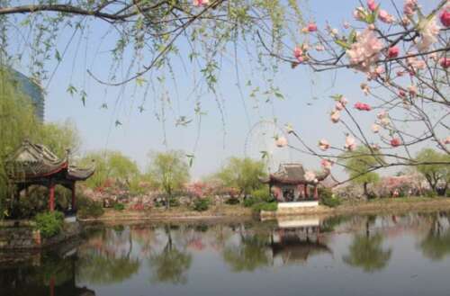 春天风景的美丽的句子